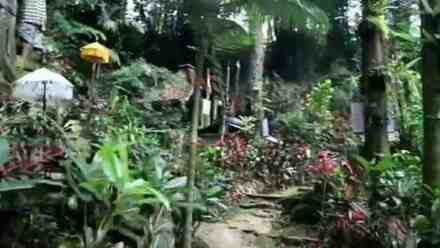 Youtuber Bar-Bar ini Nekat Explore Lokasi Rowo Bayu yang dikaitkan KKN di Desa Penari Malam-Malam