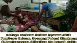 Ngawur, Pencari Rumput di Banjarnegara Ditembaki Pemburu Babi