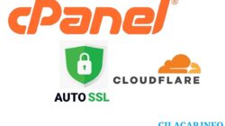 Cara Setting Cloudflare agar AutoSSL di Cpanel dapat Berfungsi