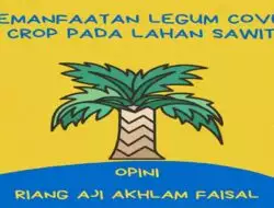 Memanfaatkan Legume Cover Crop Pada Tanaman Sawit