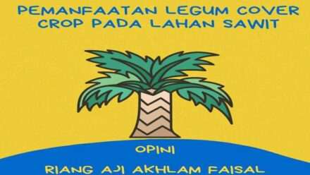 Memanfaatkan Legume Cover Crop Pada Tanaman Sawit