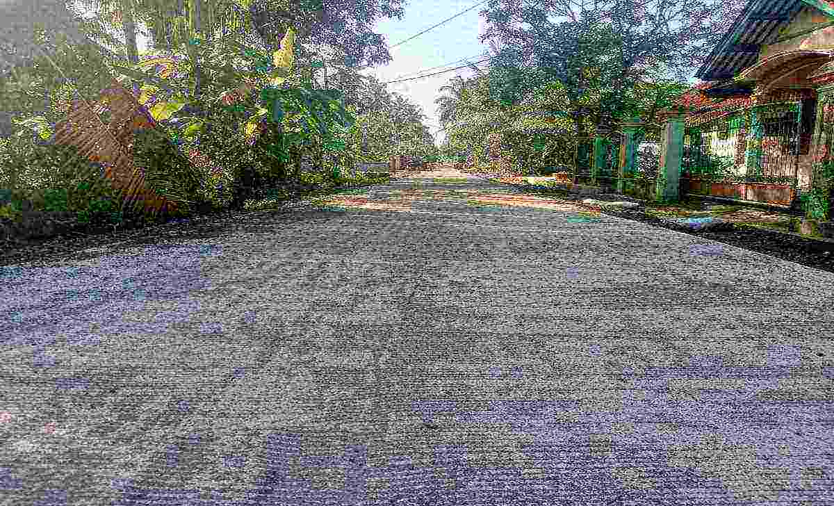 Jalan Karta Pusaka Dusun Rawasari