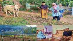 Alumni ’85 SMPN 1 Gandrungmangu Qurban 1 Ekor Sapi di Desa Rawajaya
