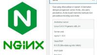 Pakai Web Server Nginx di WordPress dengan Litespeed Cache emang bisa?