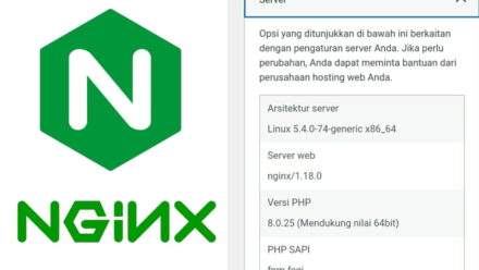 Pakai Web Server Nginx di WordPress dengan Litespeed Cache emang bisa?