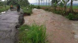 Tanggul Sungai Cijantake Cimanggu Cilacap Jebol, Petani Gagal Panen