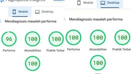 Mendesain Website Agar Skor di Pagespeed Insights Bagus Penting