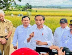 Presiden Jokowi Bersama Mentan dan Prabowo Tinjau Panen Raya di Kebumen