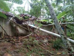 Di Wanareja Akibat Angin Kencang, Rumah Warga Rusak Tertimpa Pohon Tumbang