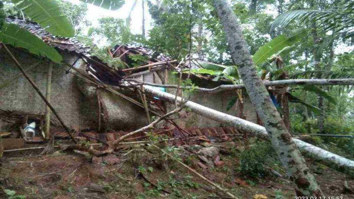 Rumah warga yang tertimpa pohon tumbang di desa Bantar Kecamatan Wanareja