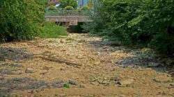 BMKG Cilacap Rilis Prakiraan Musim Kemarau 2023 di Jawa Tengah