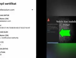 Viral Website Ponpes Nahdlatul Ulum Diretas, Begini Faktanya