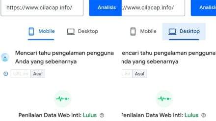 Pemilik Website Harus Mengetahui yang Baru di Pagespeed Insights