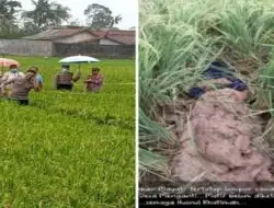 Tragis, Perempuan Muda dibunuh dan Tubuhnya ditutupi dengan Lumpur