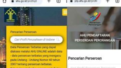 Perbedaan Perseroan Perorangan dan Terbatas Umum dari Sisi Digital