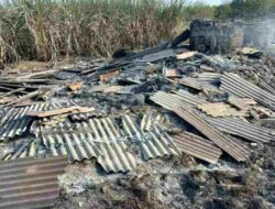 Pabrik Gula Ludes Terbakar Dampak Karhutla di Kampung Laut