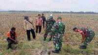 Bati Bhakti Kodim 0703 Cilacap Cek Sasaran Program TMMD di Desa Bulusari