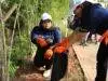 manulife volunteer day