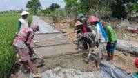 Hasil Kerja Sama Satgas TMMD dan Warga Kalikudi mulai Membuahkan Hasil