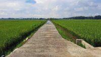 Penampakan Proses Cor Beton TMMD Kodim Cilacap di Kalikudi Adipala