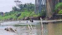 Remaja Berusia 15 Tahun Ditemukan Tim SAR Gabungan di Sungai Pemali Brebes