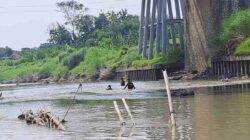 Remaja Berusia 15 Tahun Ditemukan Tim SAR Gabungan di Sungai Pemali Brebes