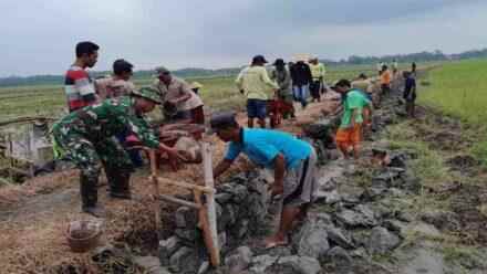 Satgas TMMD Kodim Cilacap Pacu Semangat Warga Dalam Pembangunan Talud