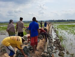 Batu Belah, Bahan Utama dalam Pembuatan Talud Sasaran Fisik TMMD Kodim Cilacap