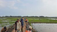 Di Bawah Terik Matahari Anggota Satgas TMMD Kodim Cilacap Semangat Kerjakan Talud