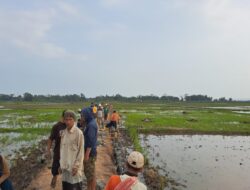 Di Bawah Terik Matahari Anggota Satgas TMMD Kodim Cilacap Semangat Kerjakan Talud