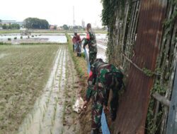 Babinsa 01 Cilacap Tengah Bantu Petani Atasi Krisis Air di Kelurahan Sidanegara