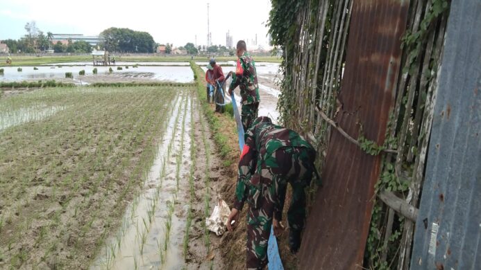 babinsa 01 cilacap bantu petani atasi krisis air di kelurahan sidanegara