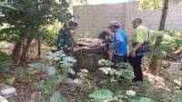 Babinsa Nusawungu Dampingi Pemberantasan Sarang Nyamuk