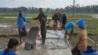 Satgas TMMD Kodim Cilacap dan Warga di Bulusari Lakukan Pengecoran Jalan Rabat Beton
