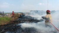 Puntung Rokok Sebabkan Tempat Penampungan Kayu di Kedungreja Terbakar