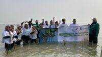 PT Esta Dana Ventura Tanam 5.001 Pohon Mangrove di Pesisir Indramayu