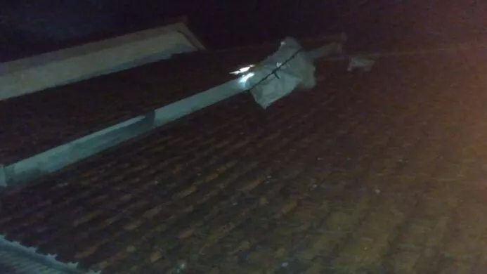 petugas Damkar Cilacap tengah mengevakuasi tawon ndas di Gumilir