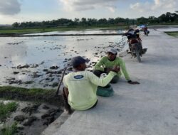 Senangnya warga Bulusari atas Selesainya Jalan Rabat Beton Program TMMD Kodim Cilacap
