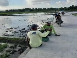 Senangnya warga Bulusari atas Selesainya Jalan Rabat Beton Program TMMD Kodim Cilacap
