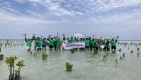 Perusahaan Teknologi Hikvision Rayakan Hari Lingkungan Hidup dengan Tanam Mangrove di Pulau Pari