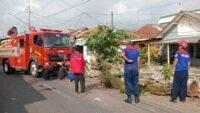Damkar Cilacap Evakuasi Pohon Glodokan yang Tumbang ke Jalan
