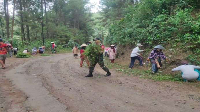 babinsa karangpucung aktif ikut kerja bakti pembersihan jalan penghubung antara desa