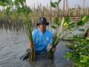 Penanaman mangrove di Tambakrejo