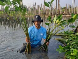 Upaya Keberlanjutan LindungiHutan di Tambakrejo, Kota Semarang