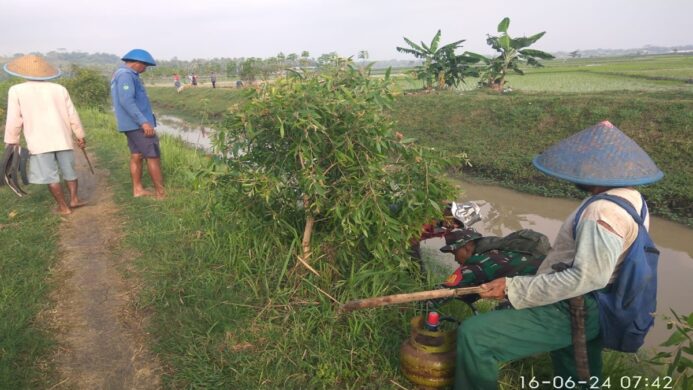 anggota koramil 12 kedungreja bantu petani mengatasi hama tikus