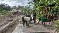 Babinsa Purwasari Wanareja Melaksanakan Kerja Bakti Pengecoran Jalan