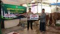 Kapolresta Cilacap Serahkan Satu Ekor Sapi untuk Kurban Idul Adha ke Masjid Agung Cilacap
