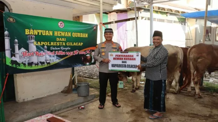 kapolresta cilacap serahkan satu ekor sapi untuk kurban idul adha ke masjid agung cilacap