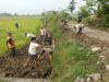 pembersihan dan pembuatan badan jalan usaha tani desa bulaksari bantarsari