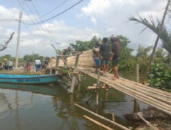 Babinsa Koramil Kawunganten dan Warga Bergotong Royong Perbaiki Jembatan Bambu